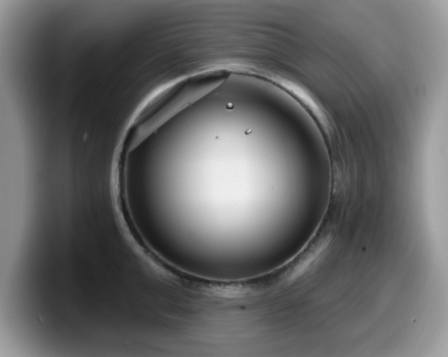 X0000099970999200805301330