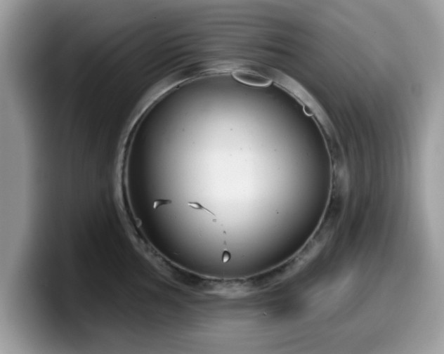 X0000099971002200805301330