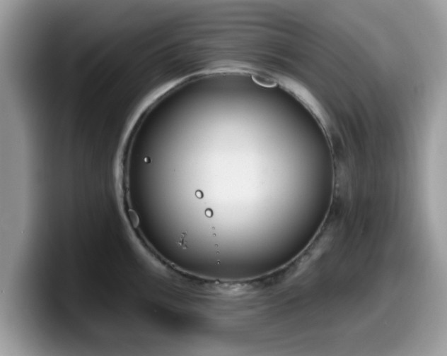 X0000099971003200805301330