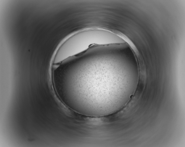 X0000099971004200805301330