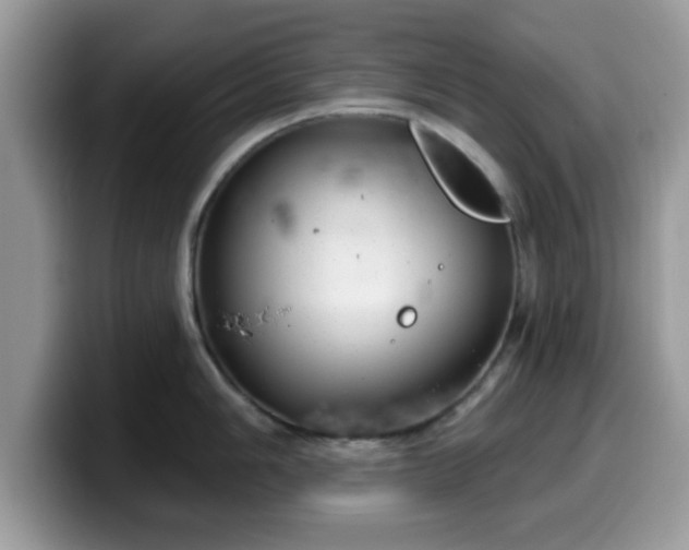 X0000099971006200805301330