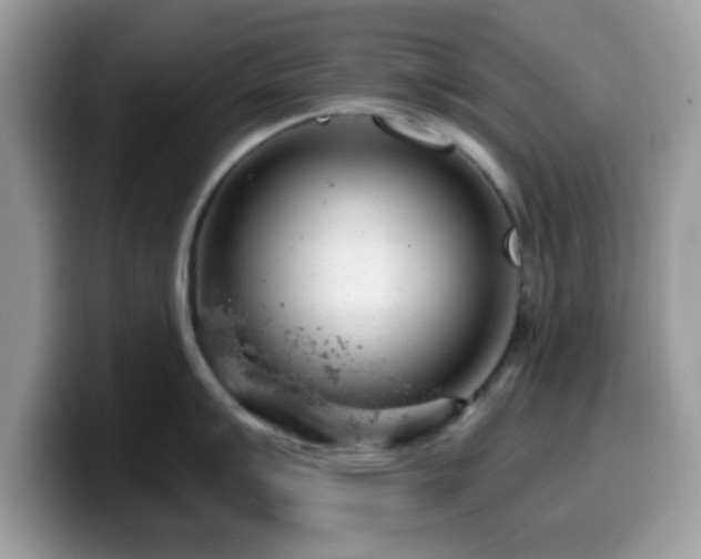 X0000099971007200805301330