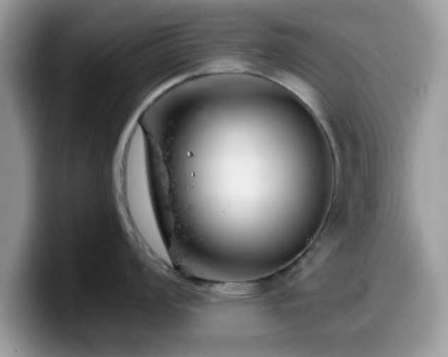 X0000099971008200805301330