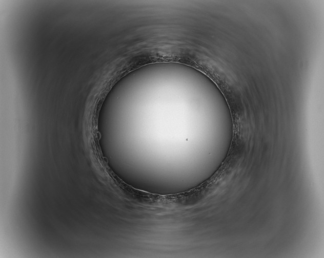 X0000099971009200805301329