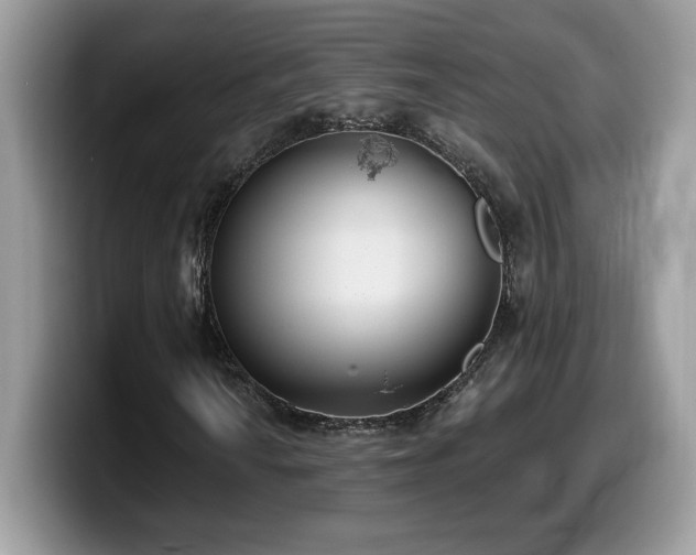 X0000099971010200805301329