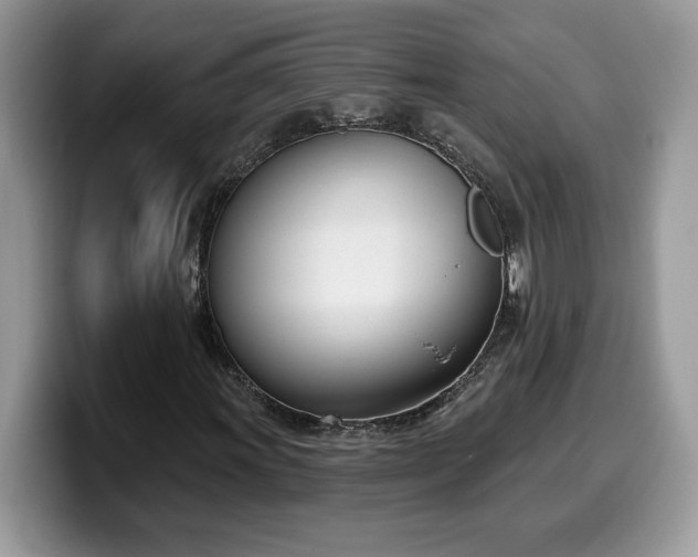 X0000099971011200805301329