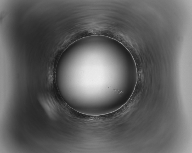 X0000099971012200805301329