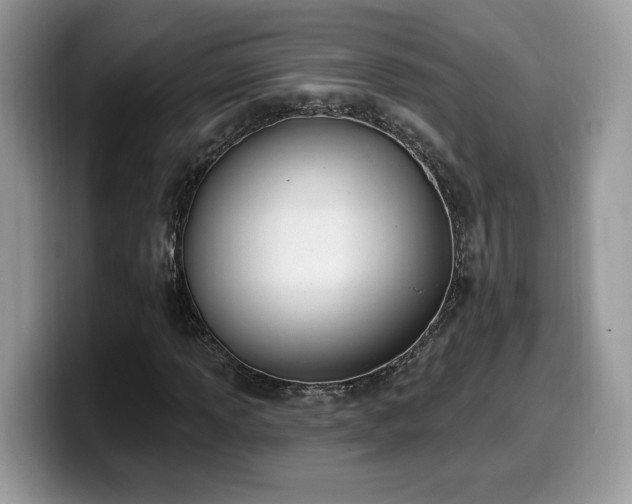 X0000099971013200805301329