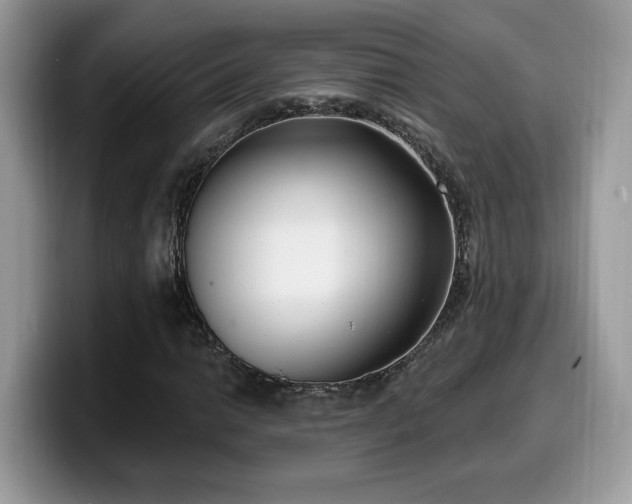 X0000099971014200805301329