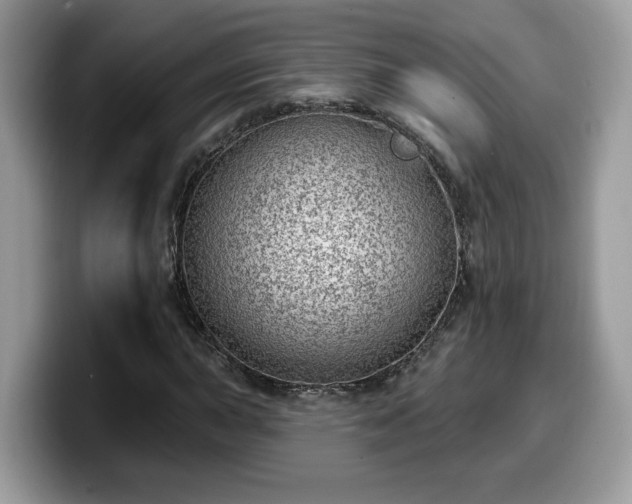 X0000099971015200805301329