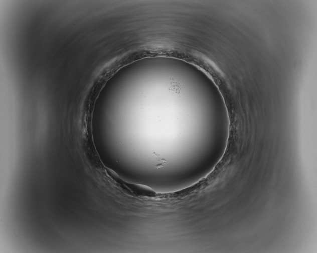 X0000099971016200805301329