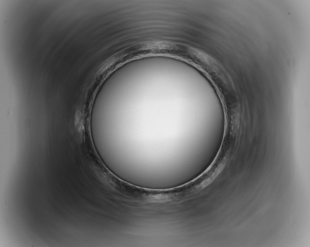 X0000099971017200805301329