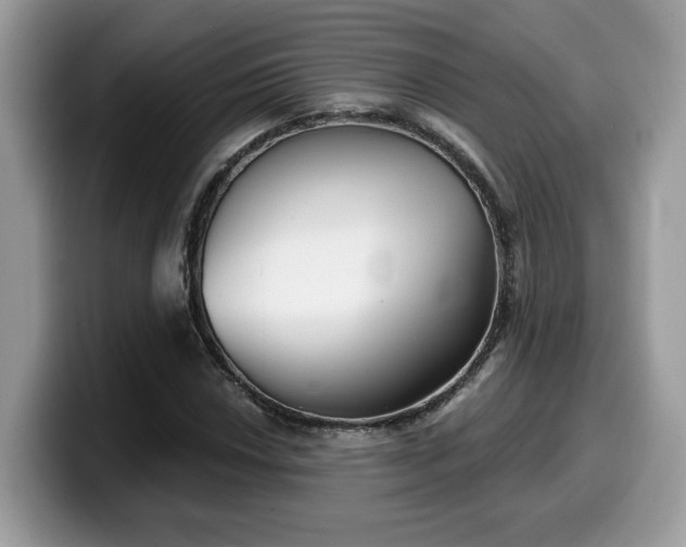 X0000099971018200805301329