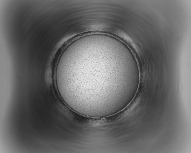 X0000099971019200805301329