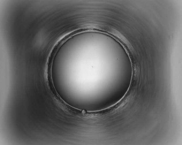 X0000099971020200805301329