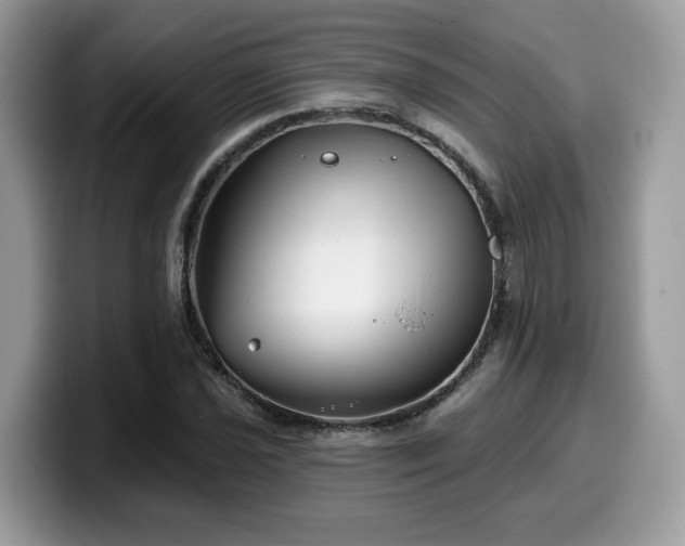 X0000099971021200805301329