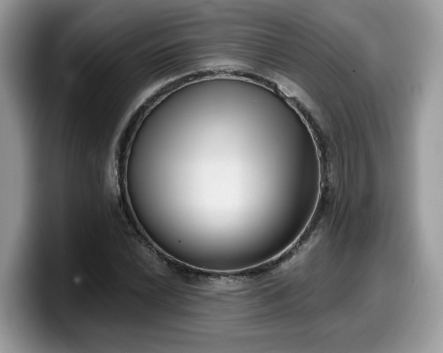 X0000099971022200805301329