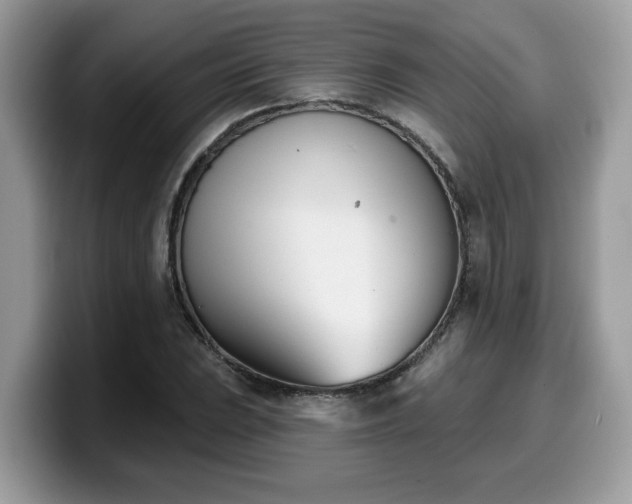 X0000099971023200805301329