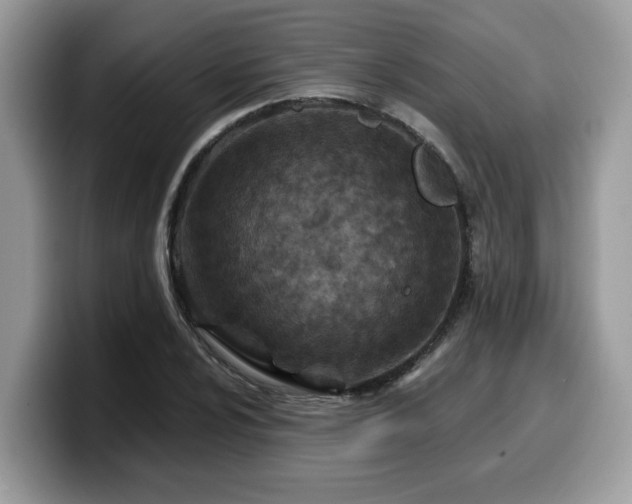 X0000099971024200805301329