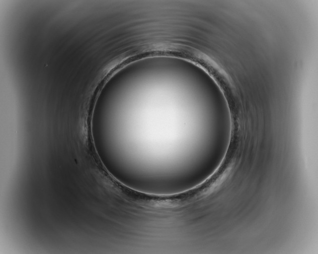 X0000099971025200805301330