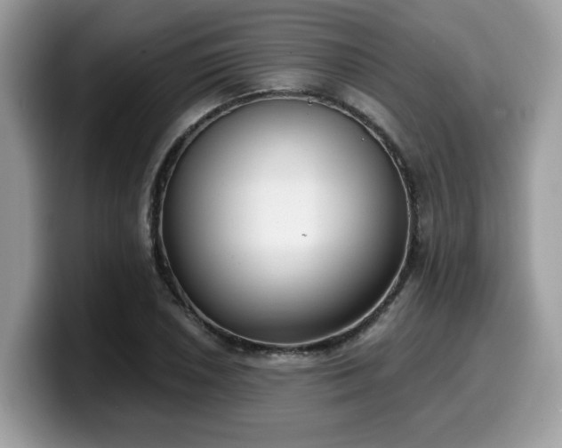 X0000099971026200805301330