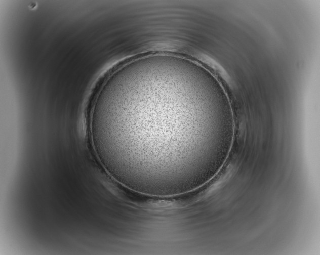 X0000099971027200805301330