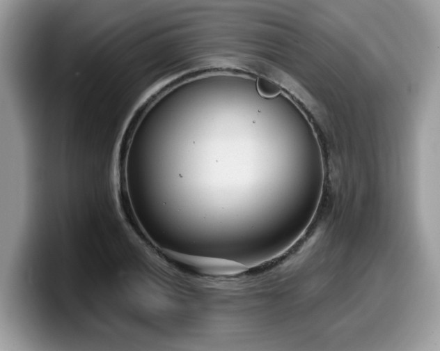 X0000099971028200805301330