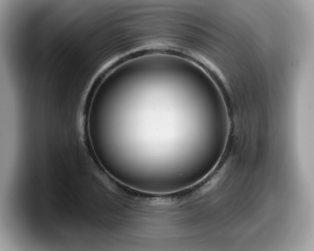 X0000099971029200805301330