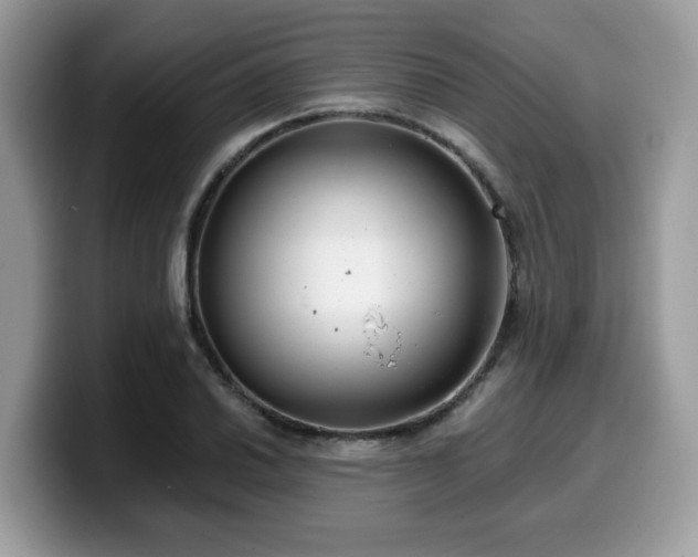 X0000099971030200805301330