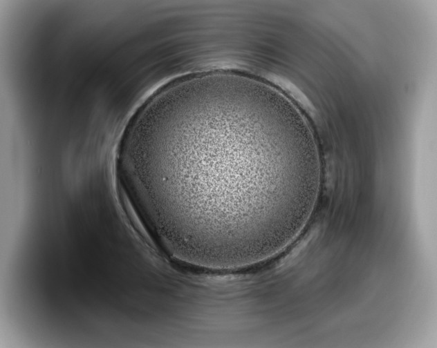 X0000099971031200805301330