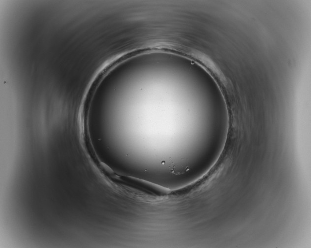 X0000099971032200805301330