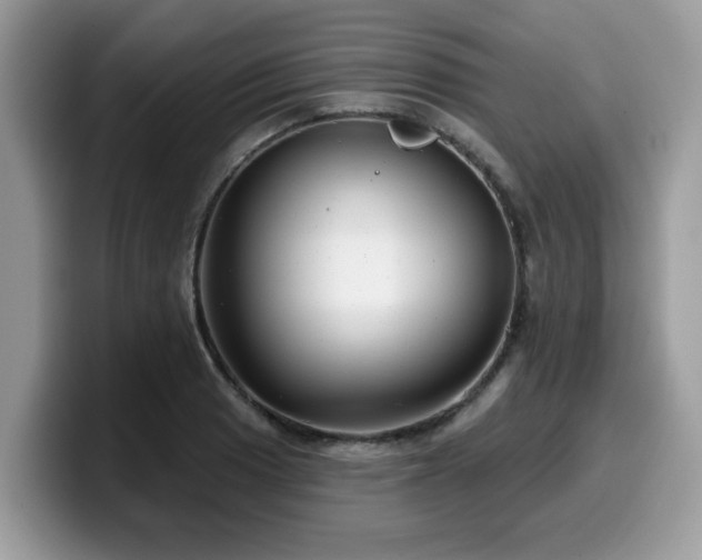 X0000099971033200805301330