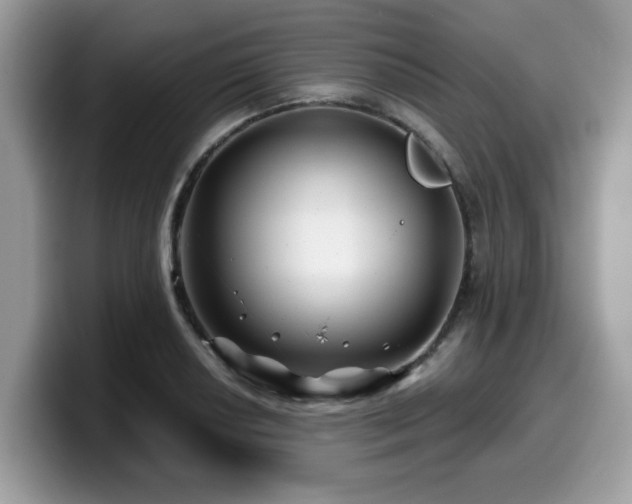 X0000099971034200805301330