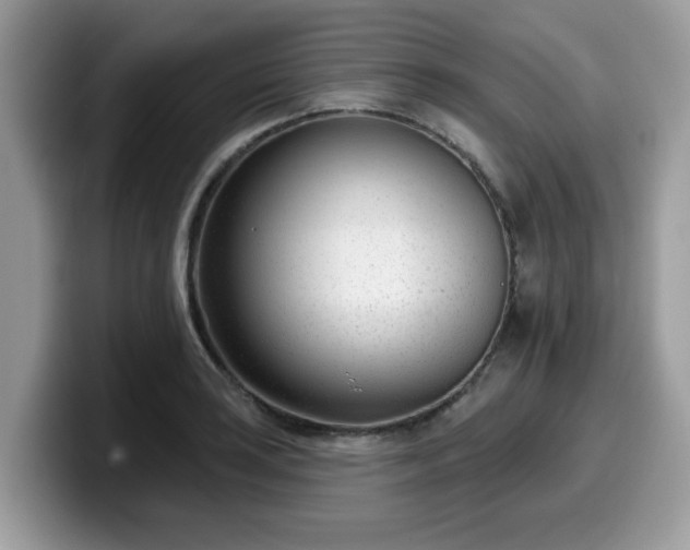 X0000099971035200805301330