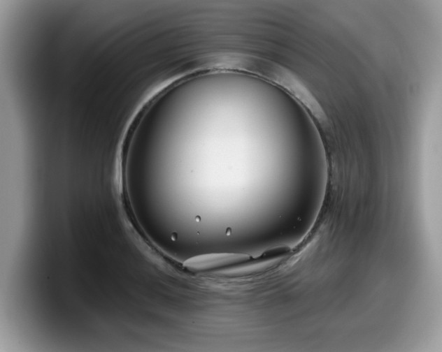 X0000099971036200805301330