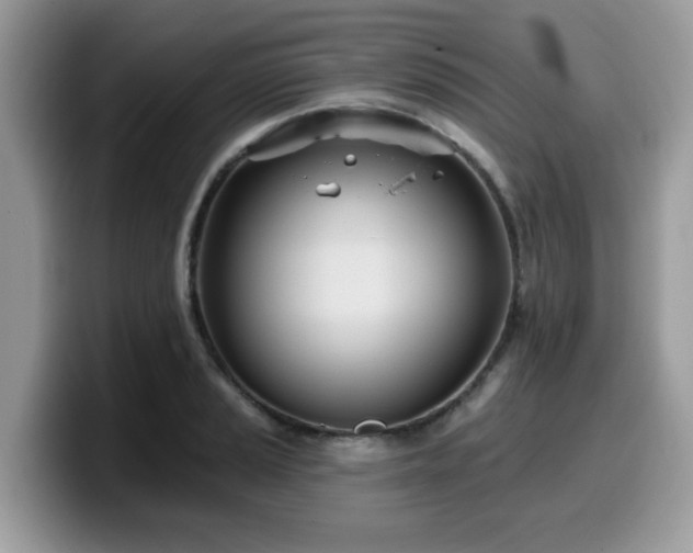 X0000099971037200805301330