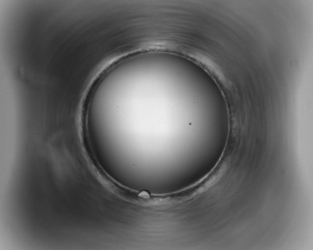 X0000099971038200805301330