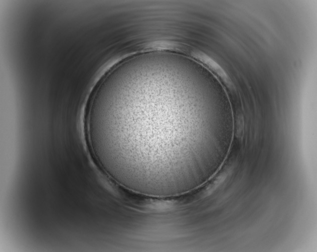 X0000099971039200805301330