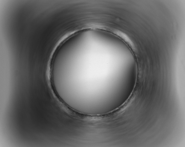 X0000099971040200805301330