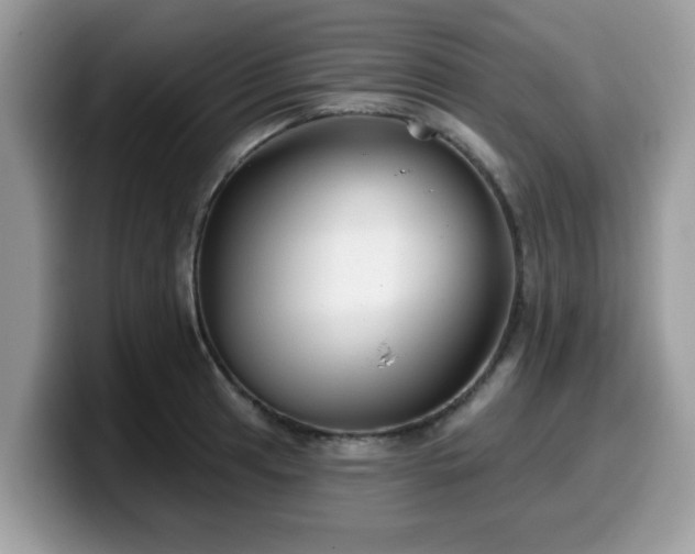 X0000099971041200805301330