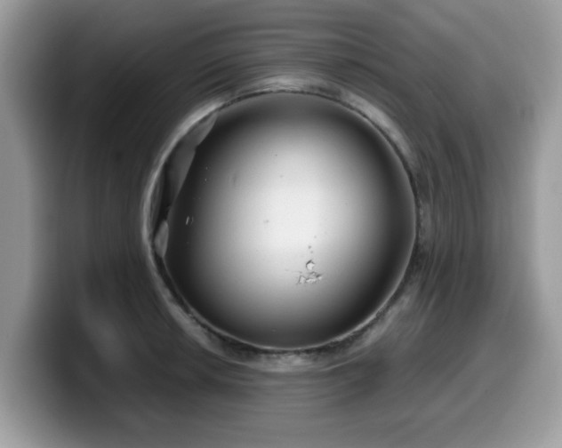 X0000099971042200805301330