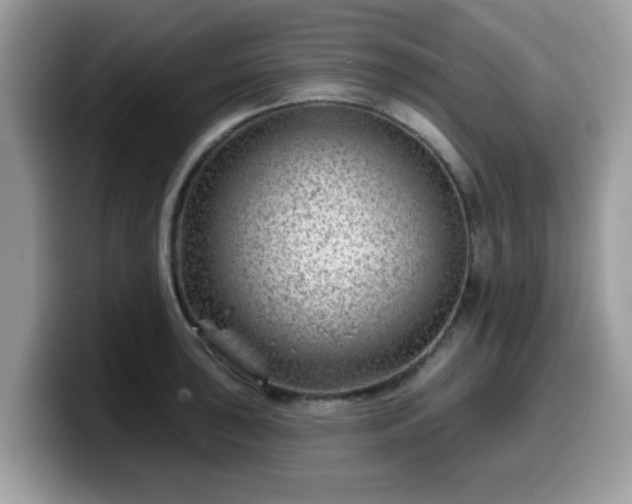 X0000099971043200805301330