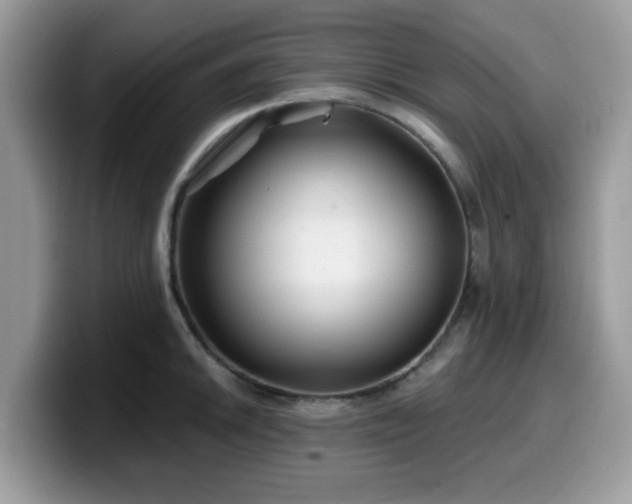 X0000099971046200805301330