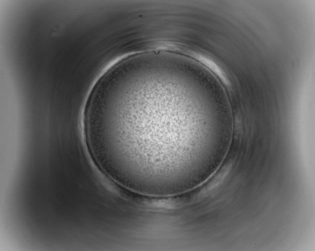 X0000099971047200805301330