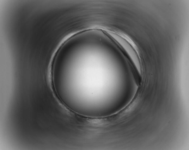 X0000099971048200805301330