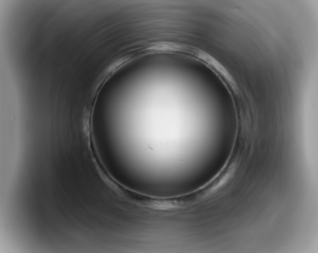 X0000099971049200805301330