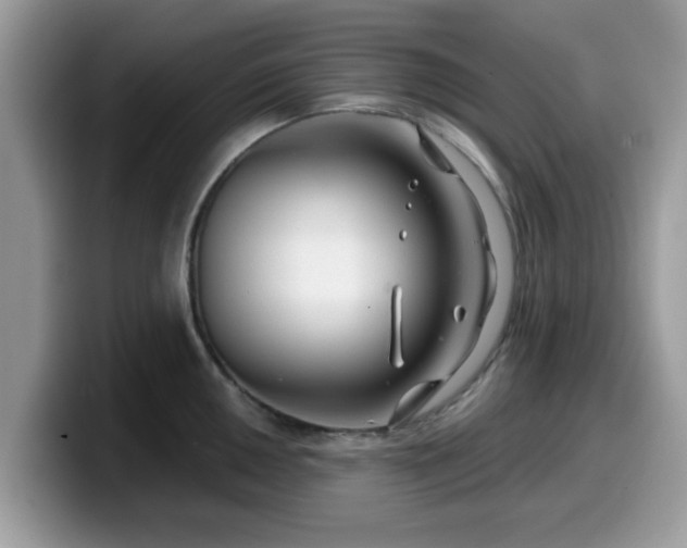 X0000099971050200805301330