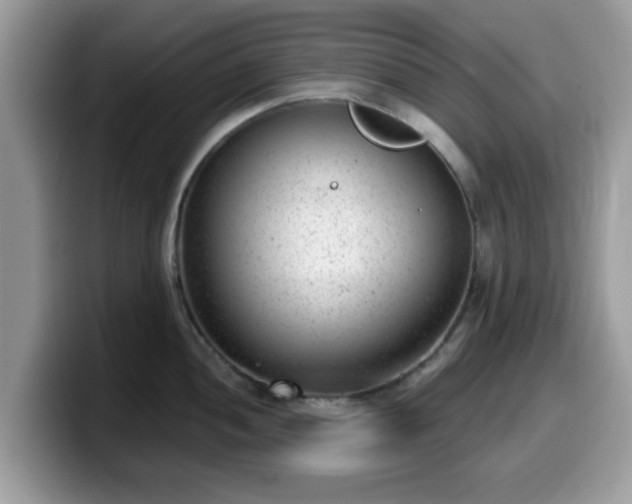 X0000099971052200805301330