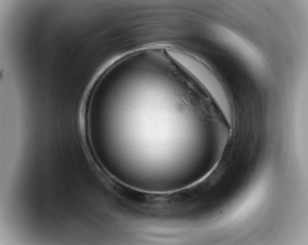 X0000099971054200805301330