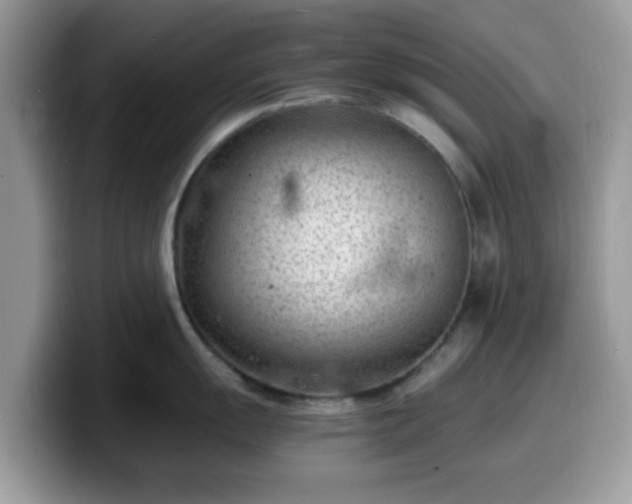 X0000099971055200805301330